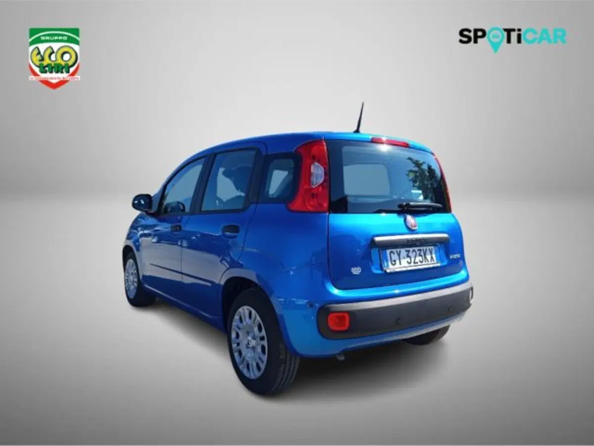 Fiat Panda usata a Frosinone (7)