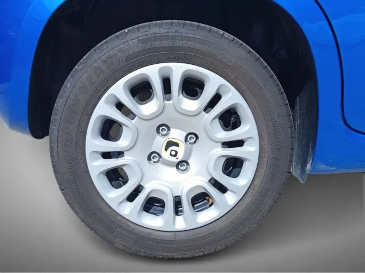 Fiat Panda usata a Frosinone (8)