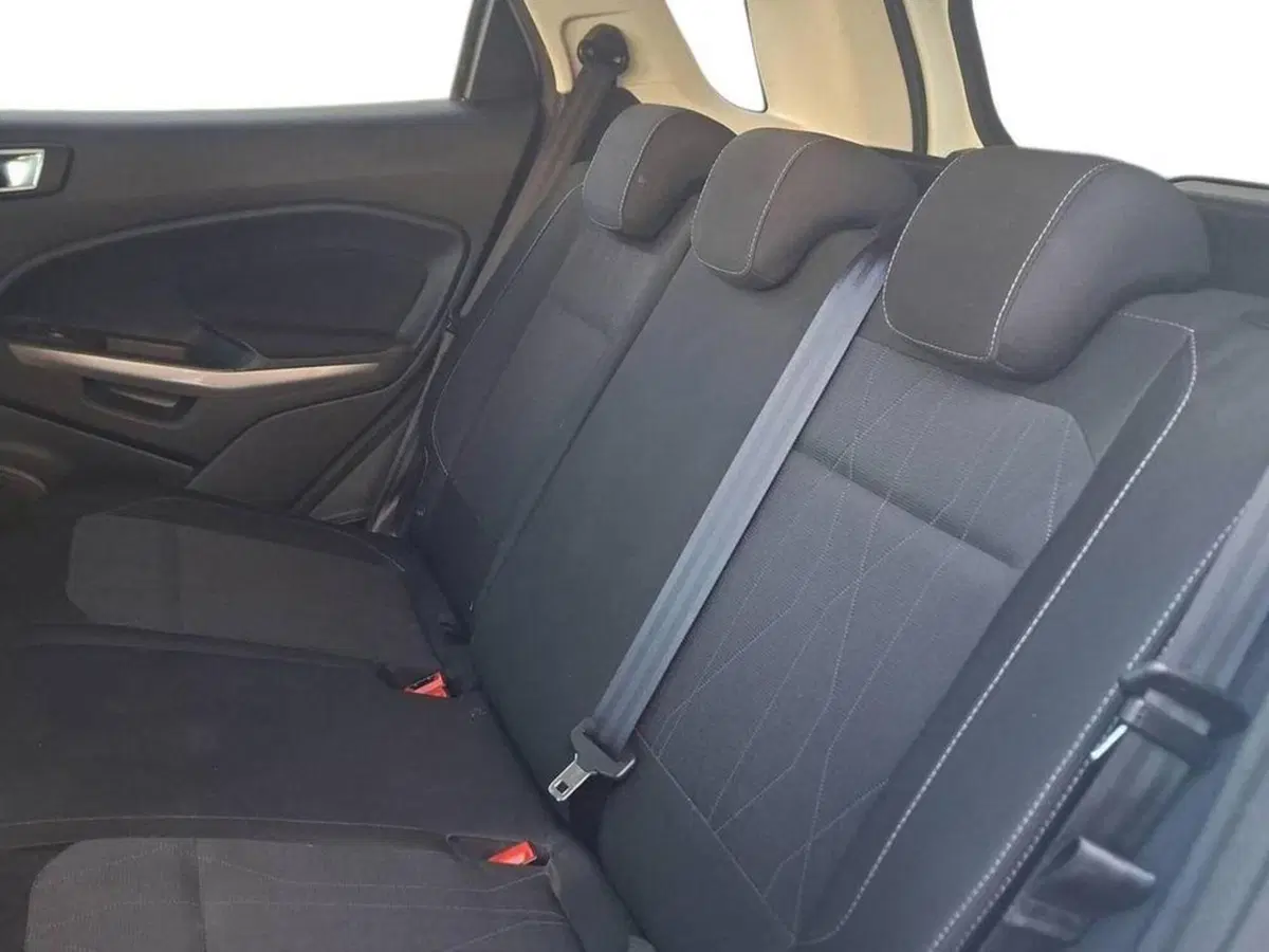 Ford EcoSport usata a Torino (11)
