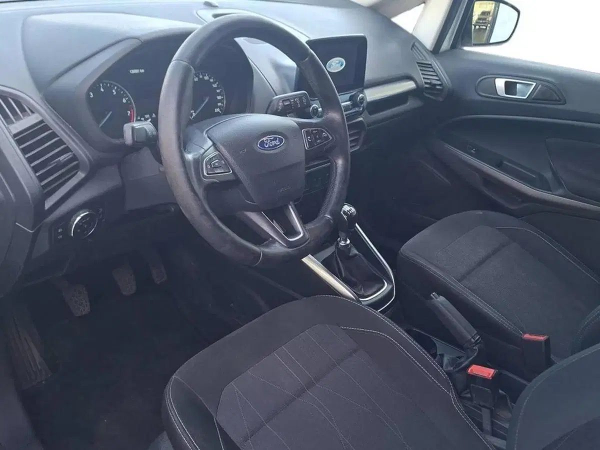 Ford EcoSport usata a Torino (9)