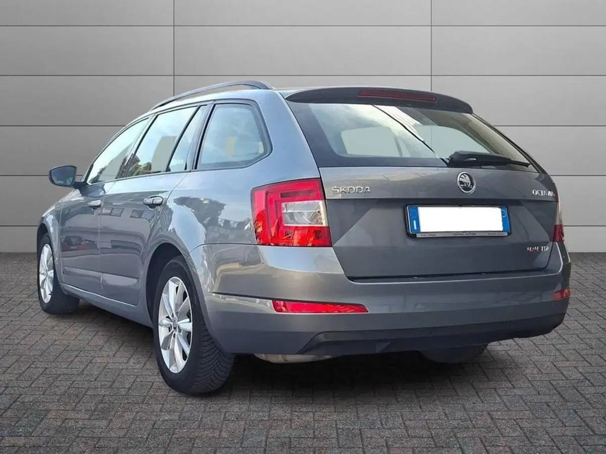 Skoda Octavia Station Wagon usata a Torino (2)