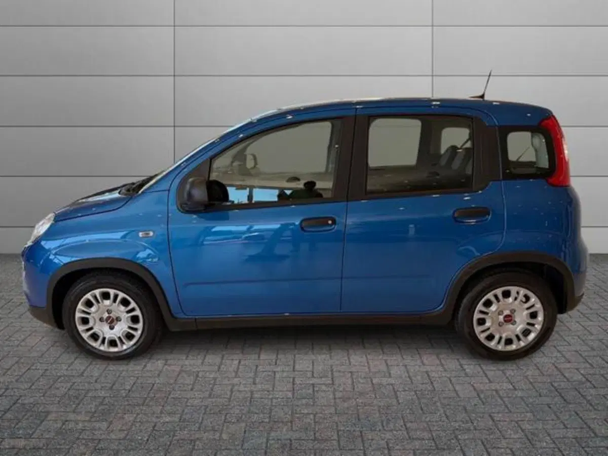 Fiat Panda usata a Sassari (2)