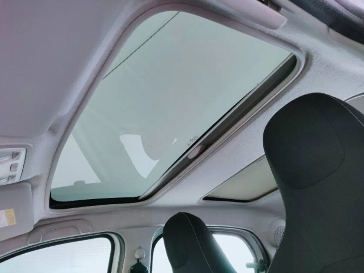 smart forfour usata a Teramo (11)