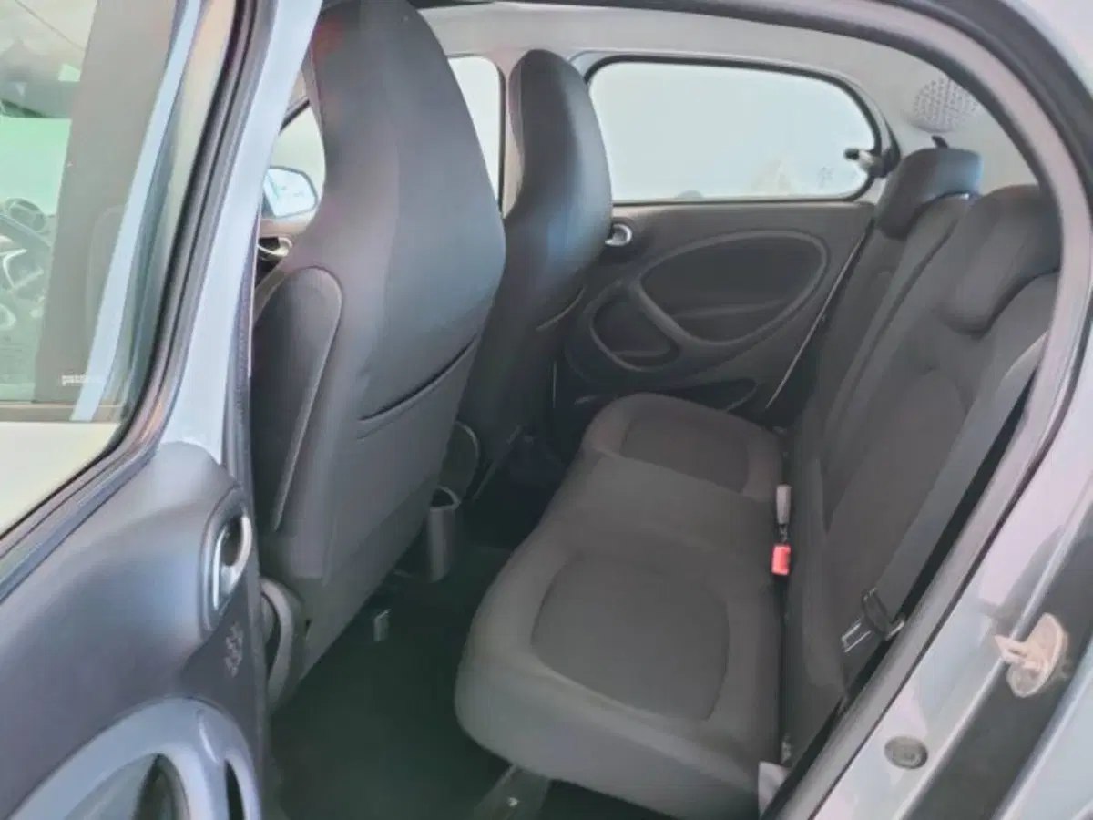 smart forfour usata a Teramo (12)