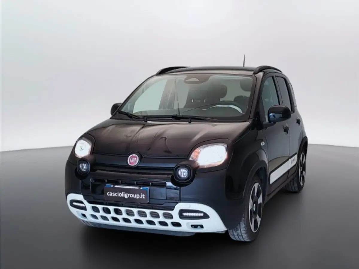 Fiat Pandina usata a Teramo