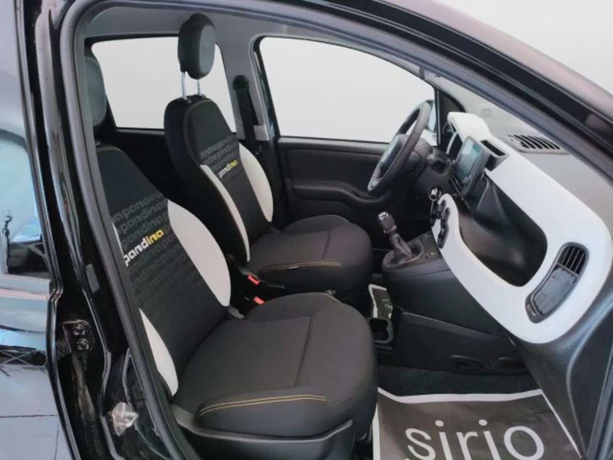 Fiat Pandina usata a Teramo (11)