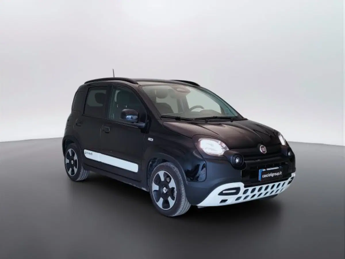 Fiat Pandina usata a Teramo (3)