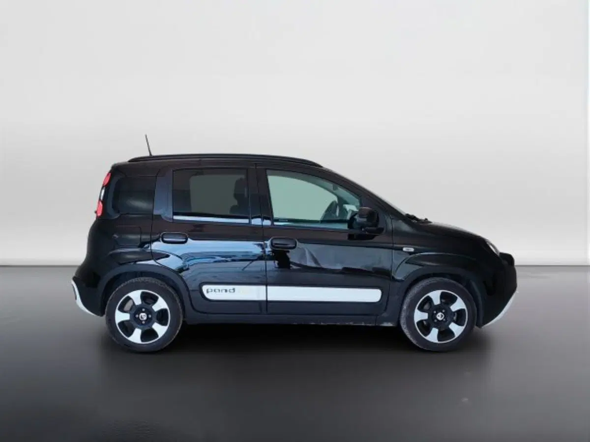 Fiat Pandina usata a Teramo (4)