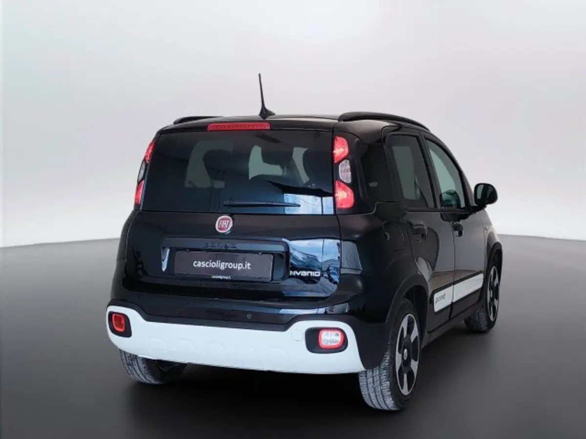 Fiat Pandina usata a Teramo (5)