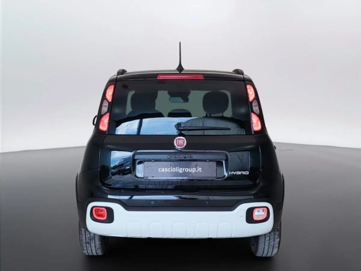 Fiat Pandina usata a Teramo (6)