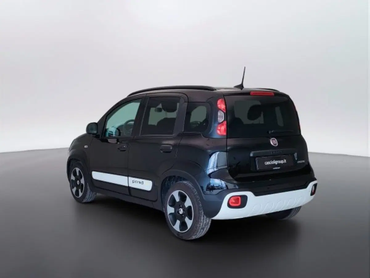 Fiat Pandina usata a Teramo (7)