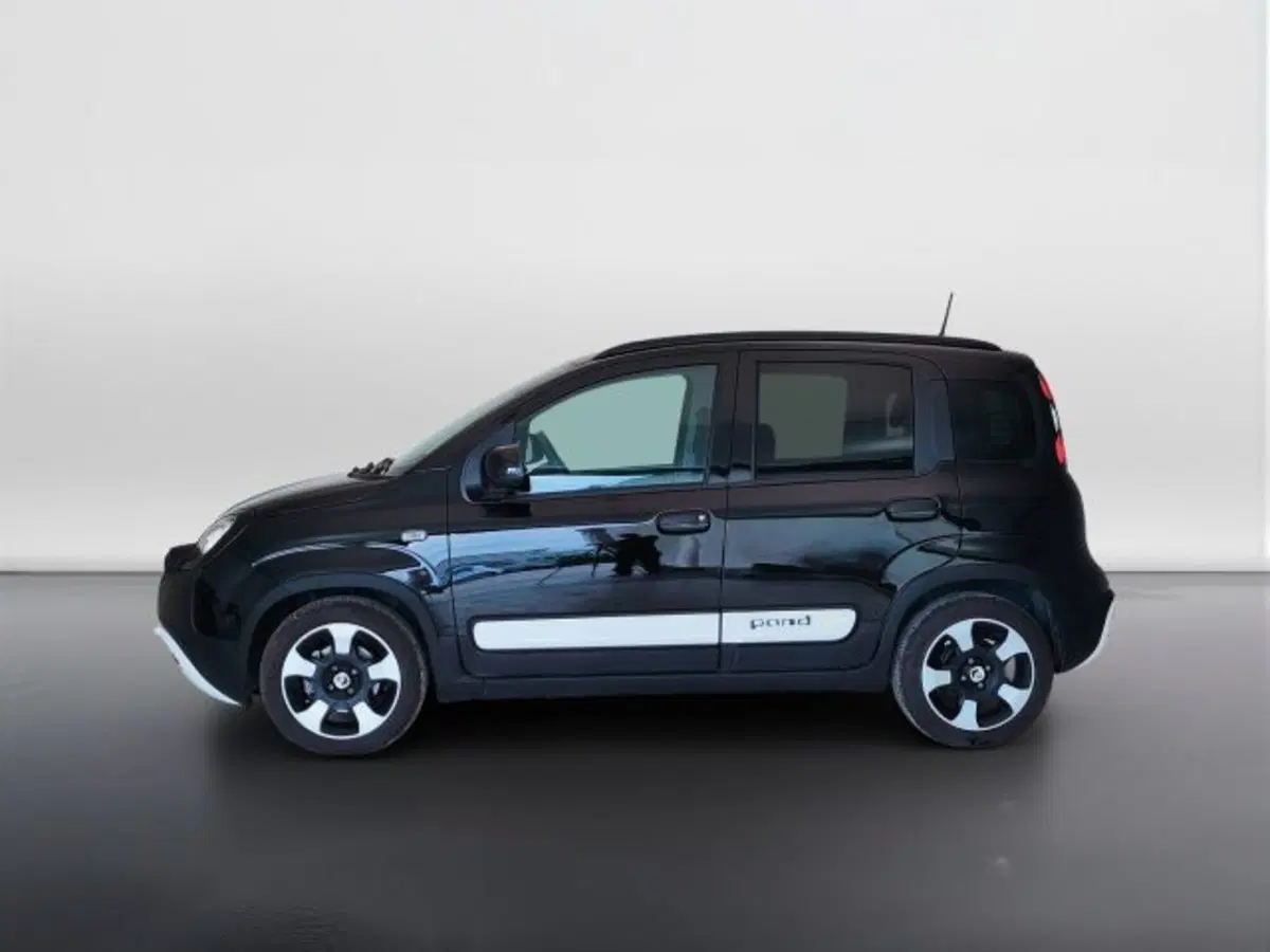 Fiat Pandina usata a Teramo (8)