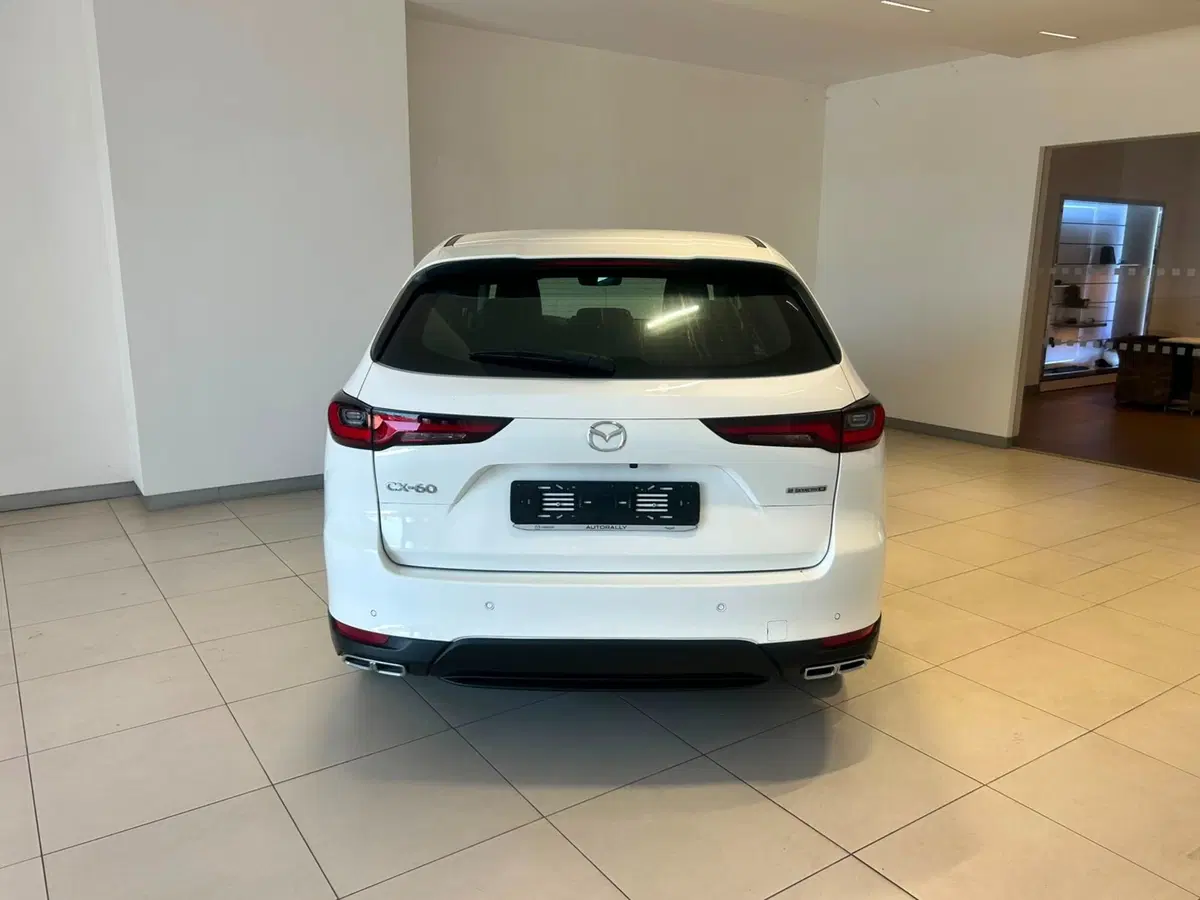 Mazda CX-60 nuova a Napoli (4)
