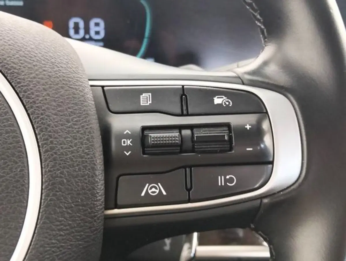 Kia Sportage usata a Como (11)