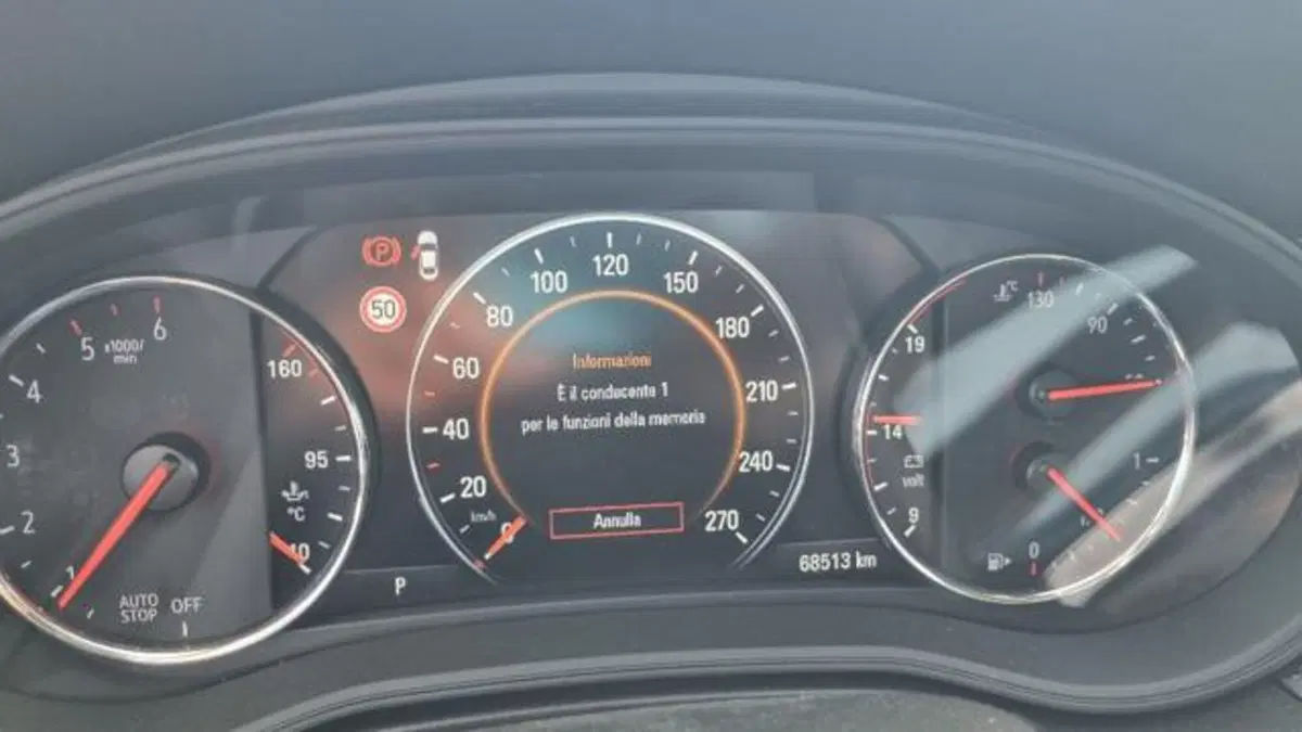 Opel Insignia Station Wagon usata a Savona (3)