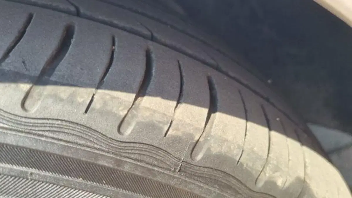 Ford B-Max usata a Savona (12)