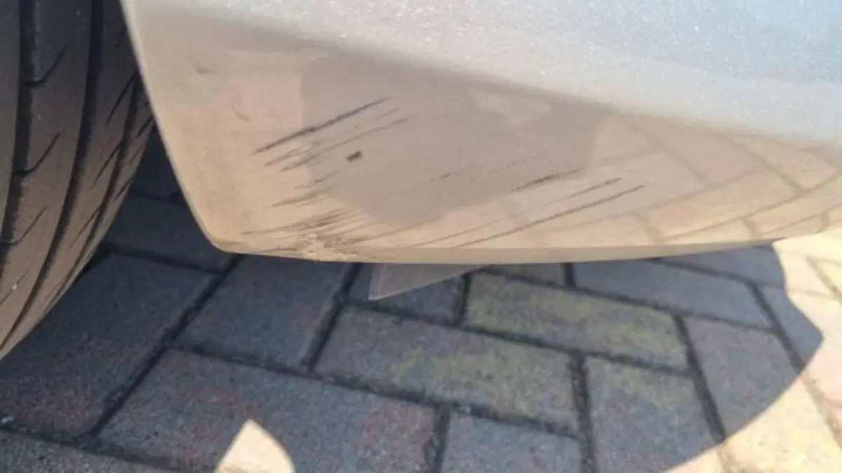 Ford B-Max usata a Savona (13)
