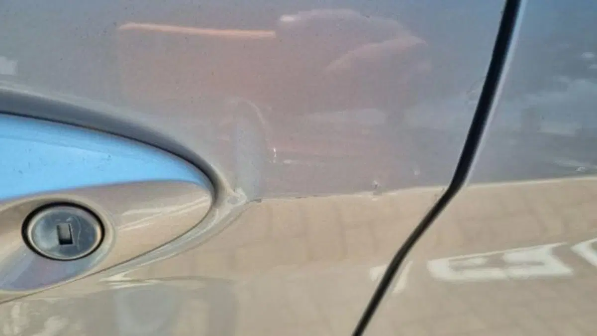 Ford B-Max usata a Savona (20)
