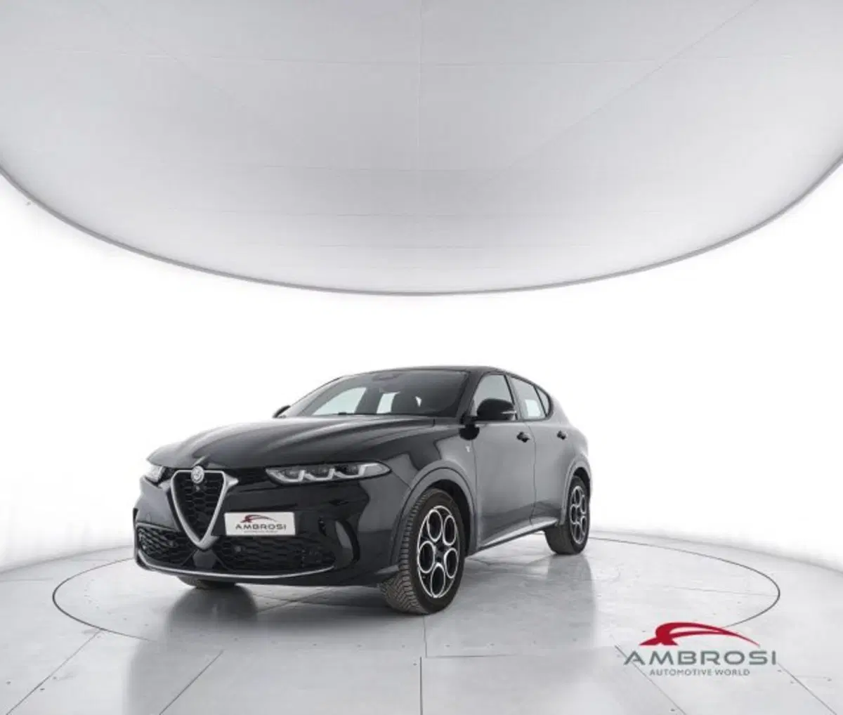 Alfa Romeo Tonale usata a Perugia