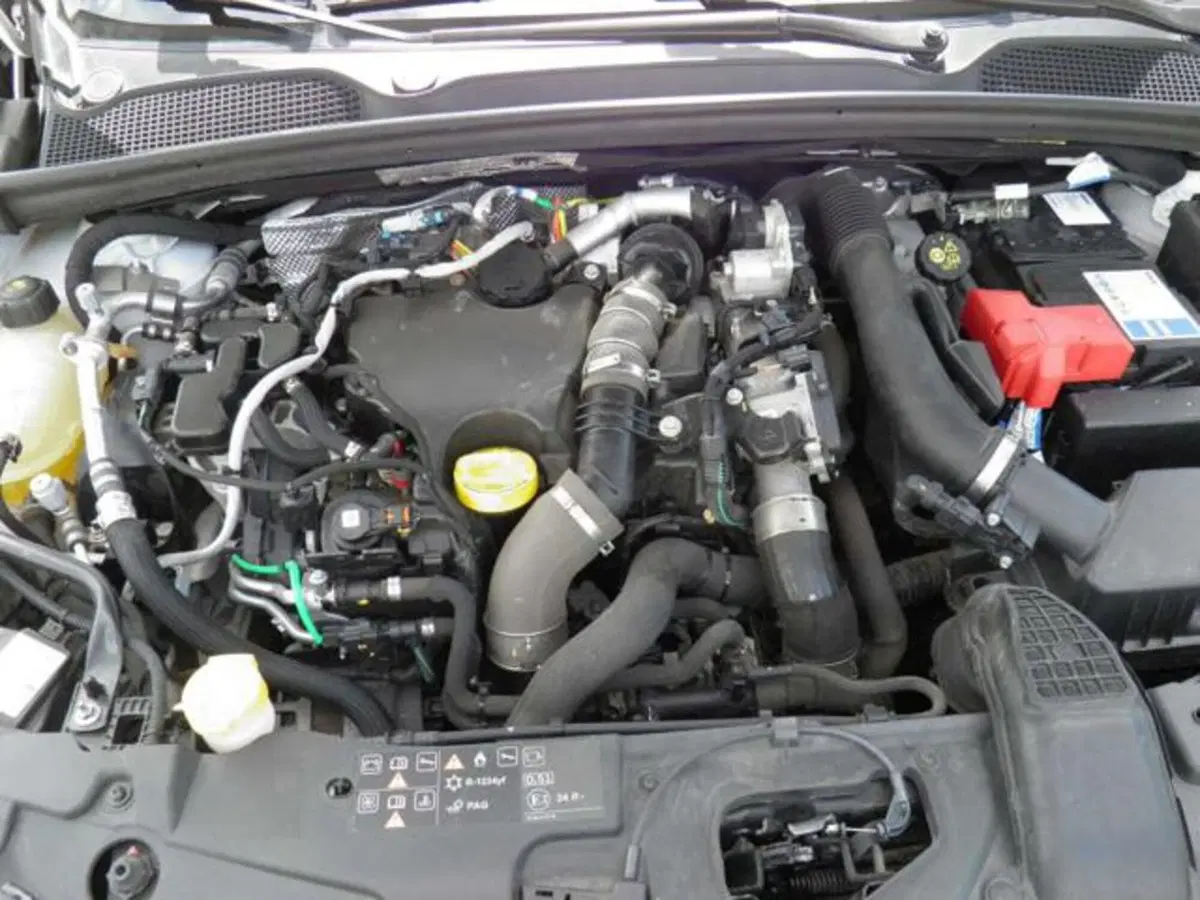 Renault Clio usata a Firenze (14)