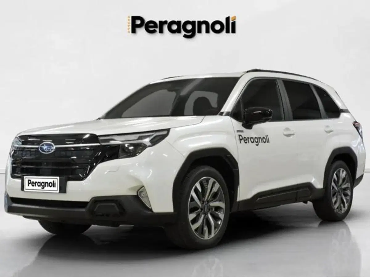 Subaru Forester usata a Firenze