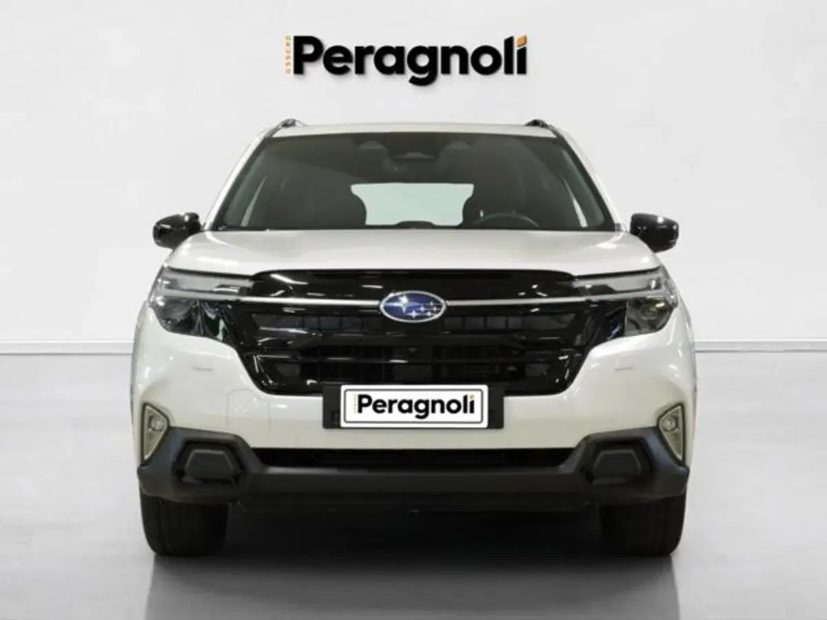 Subaru Forester usata a Firenze (2)