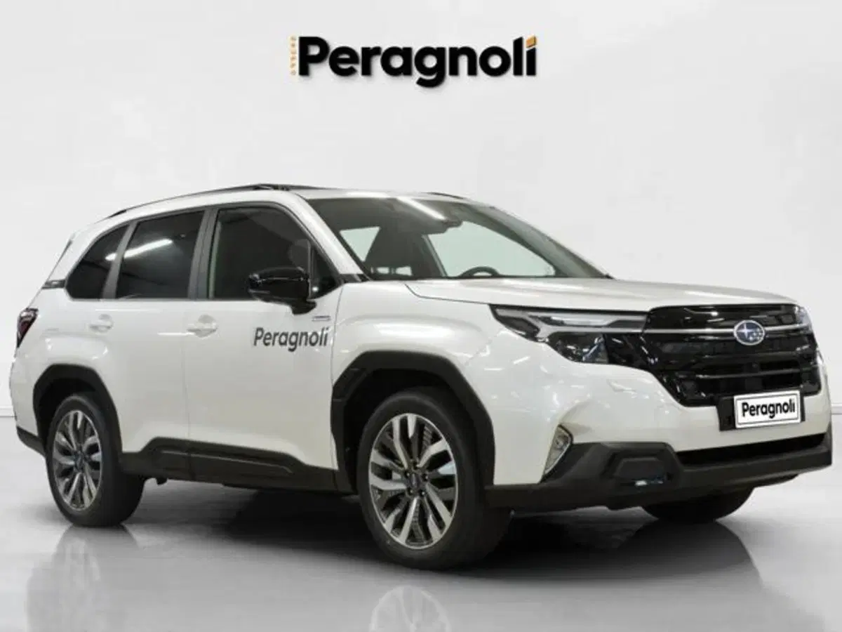 Subaru Forester usata a Firenze (3)