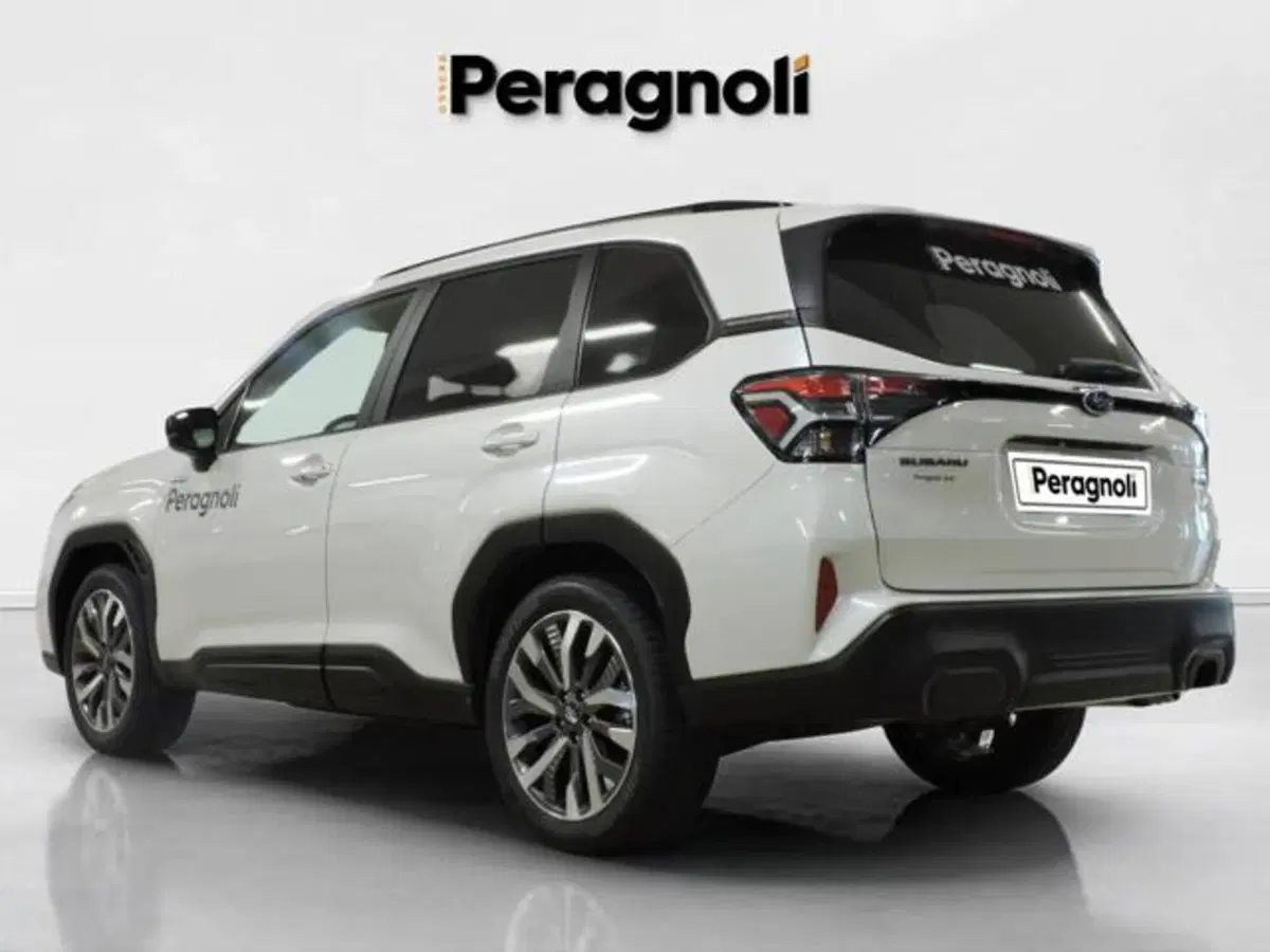 Subaru Forester usata a Firenze (4)