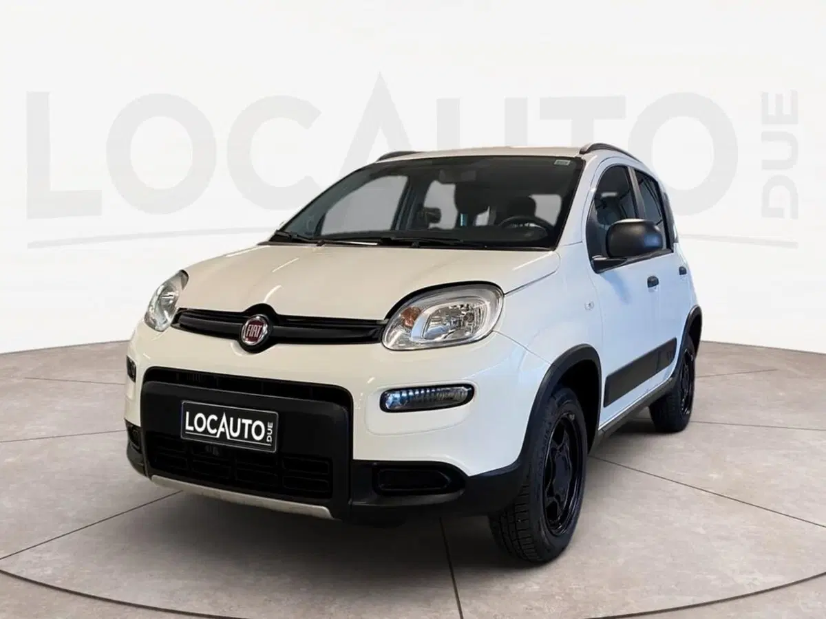 Fiat Panda usata a Torino