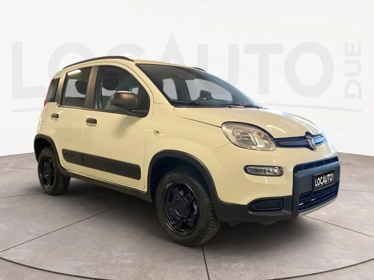 Fiat Panda usata a Torino (3)