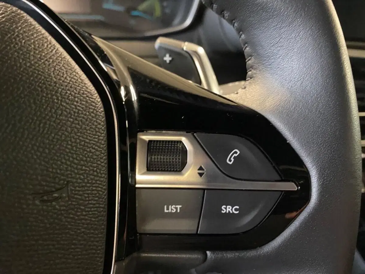 Peugeot 2008 usata a Torino (14)