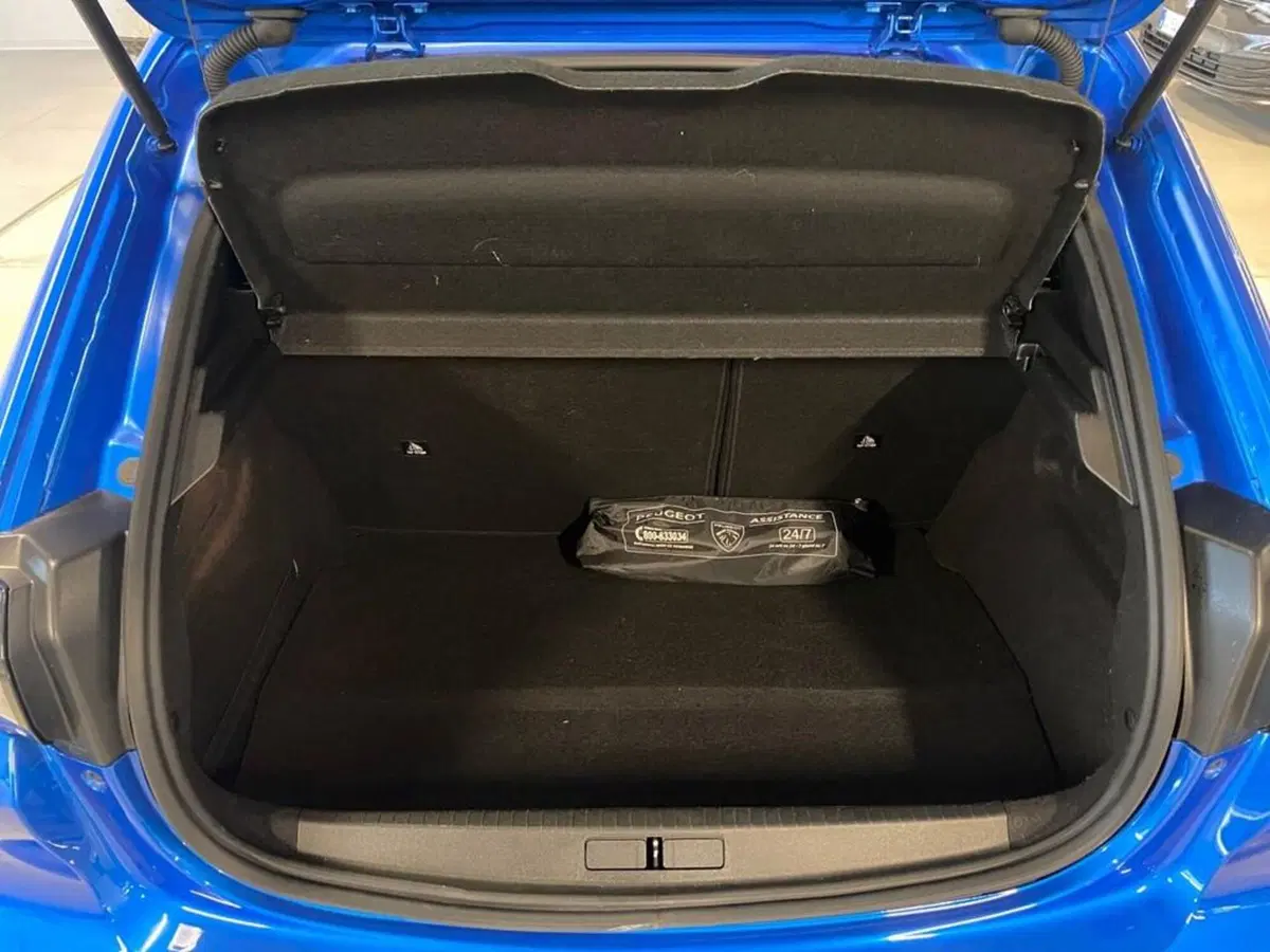 Peugeot 208 usata a Torino (9)