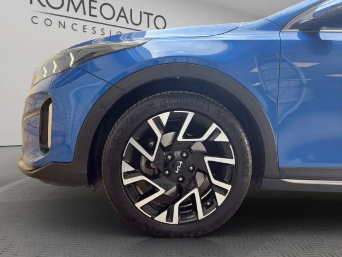 Kia XCeed usata a Perugia (19)