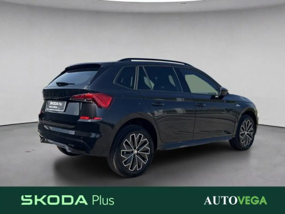 Skoda Kamiq usata a Vicenza (4)