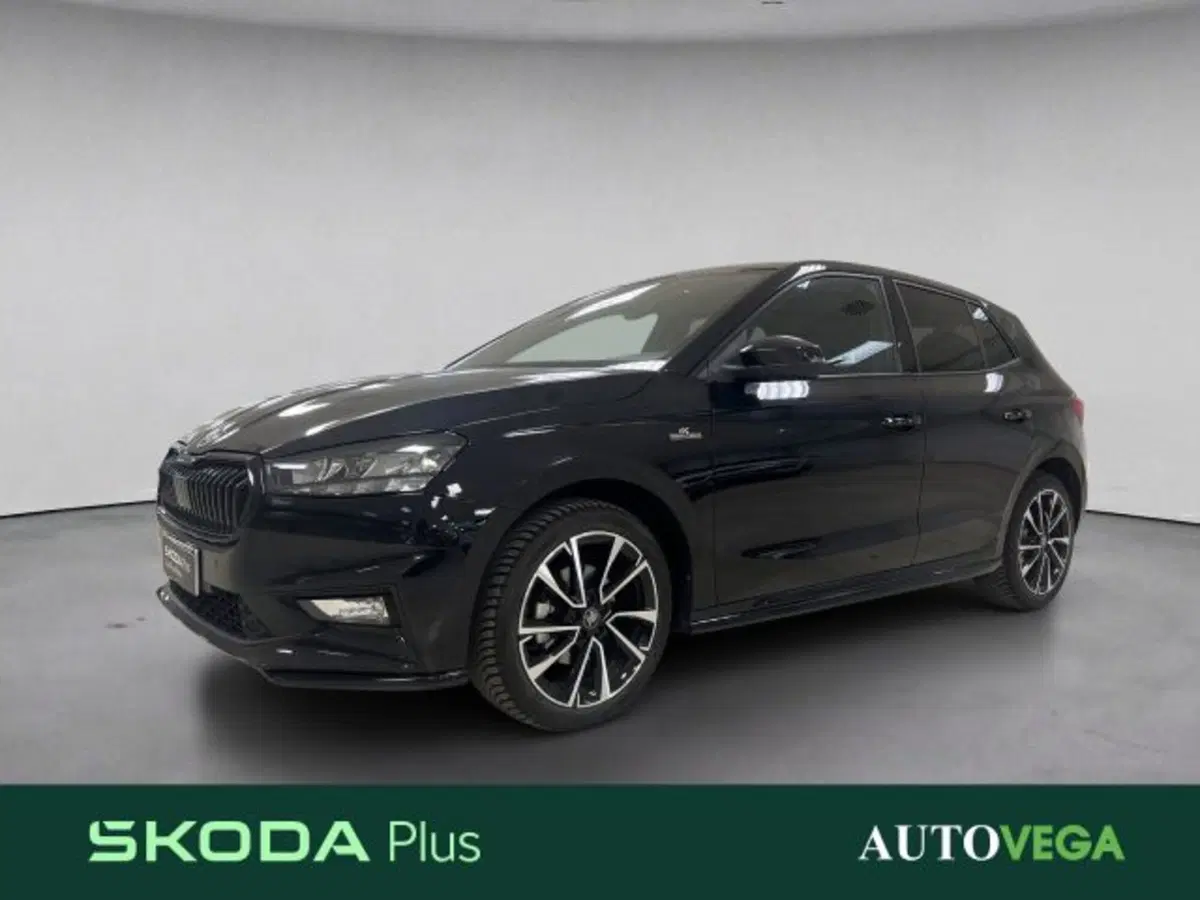 Skoda Fabia usata a Vicenza