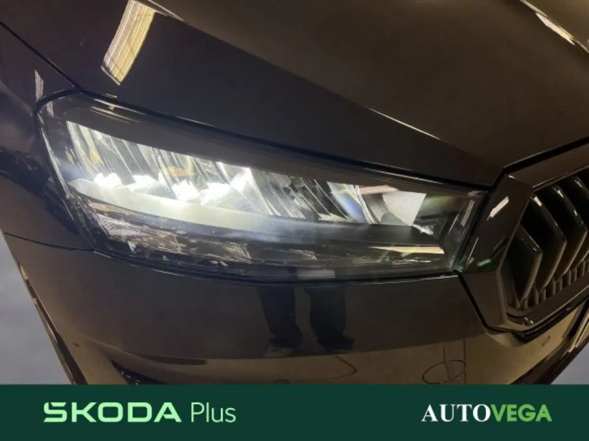 Skoda Fabia usata a Vicenza (19)