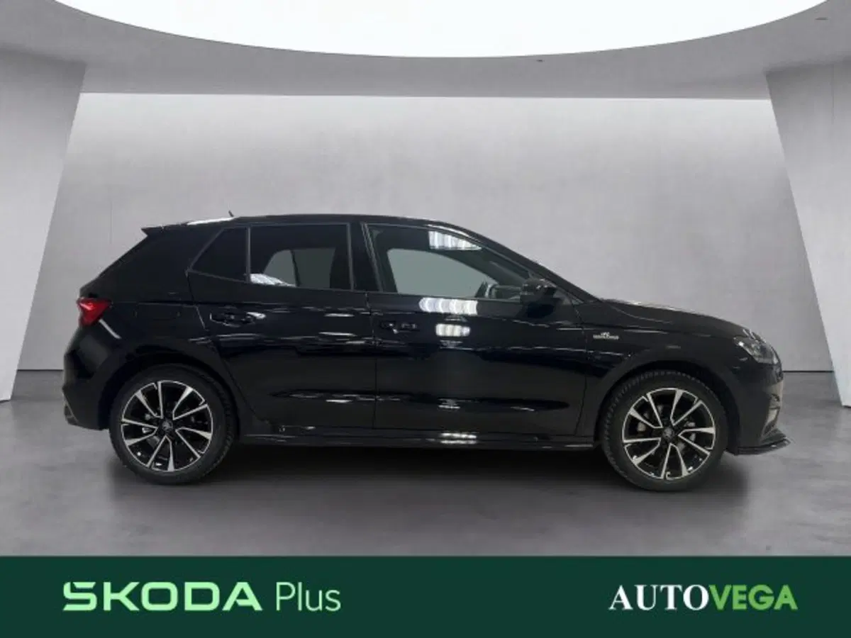 Skoda Fabia usata a Vicenza (3)
