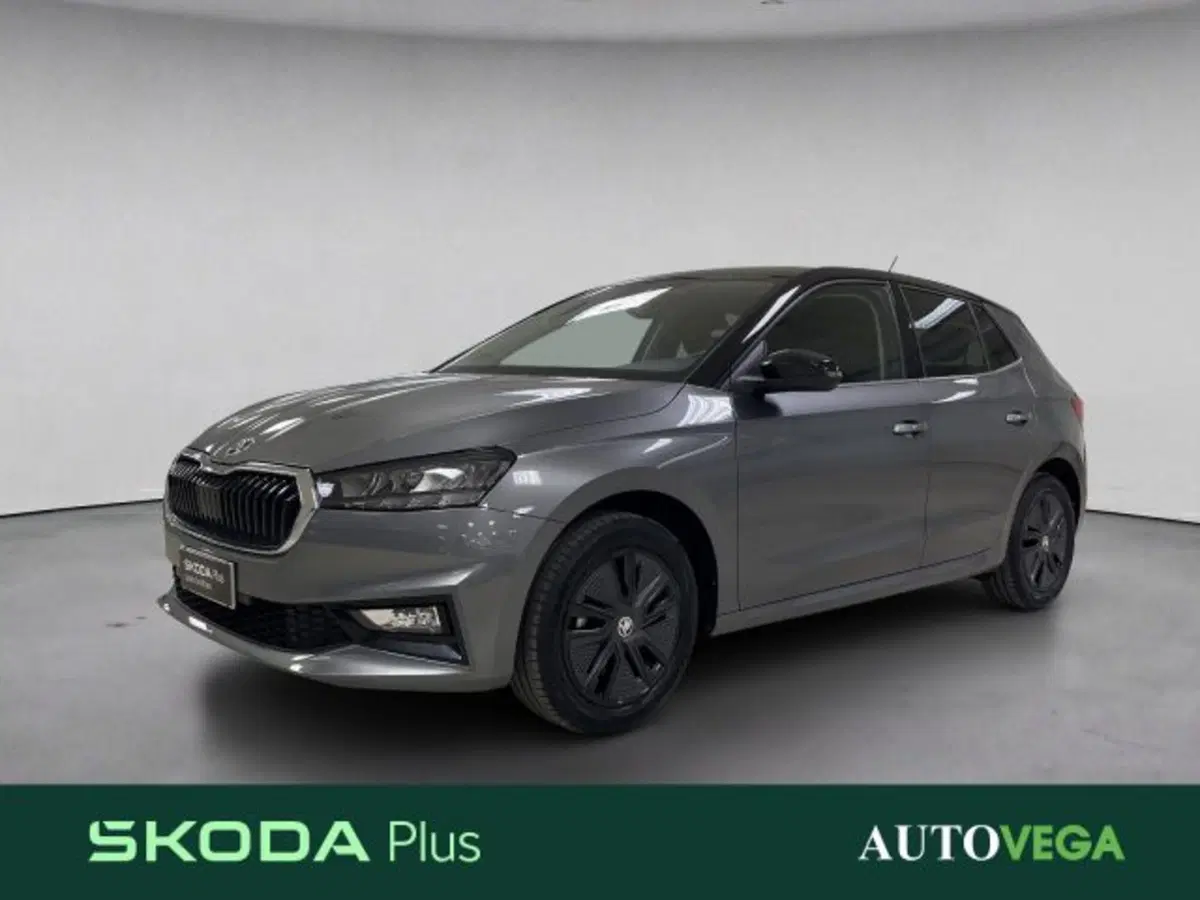 Skoda Fabia usata a Vicenza