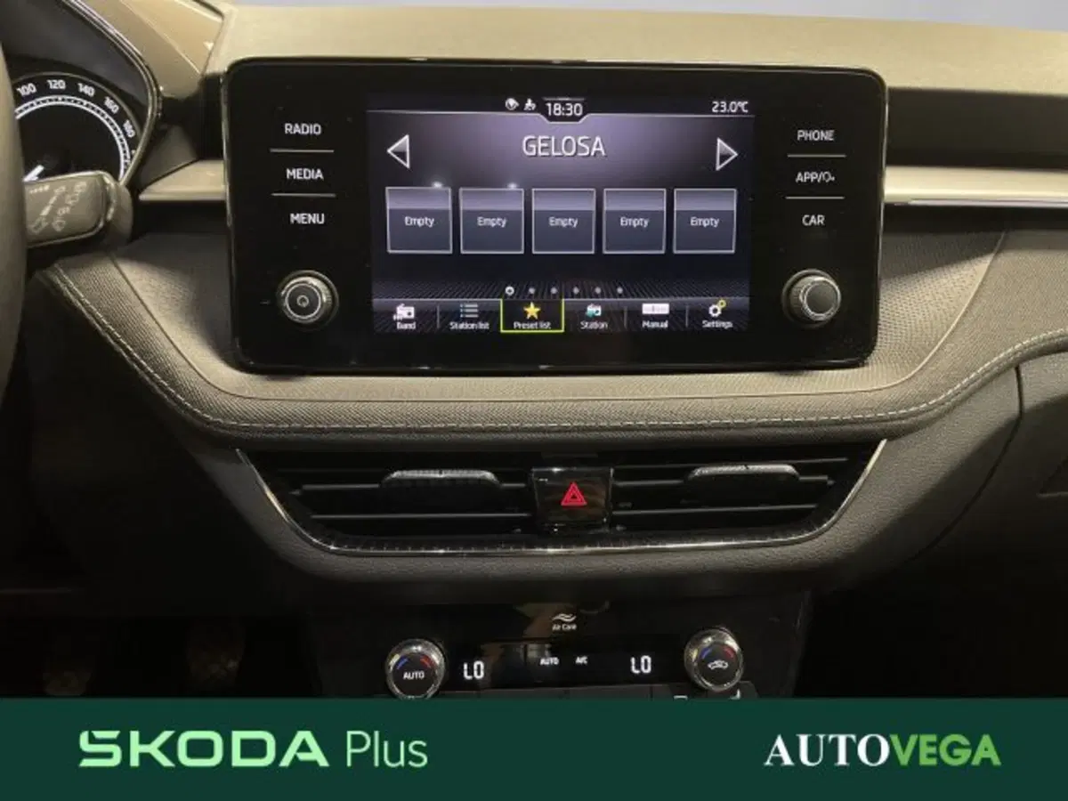 Skoda Fabia usata a Vicenza (10)