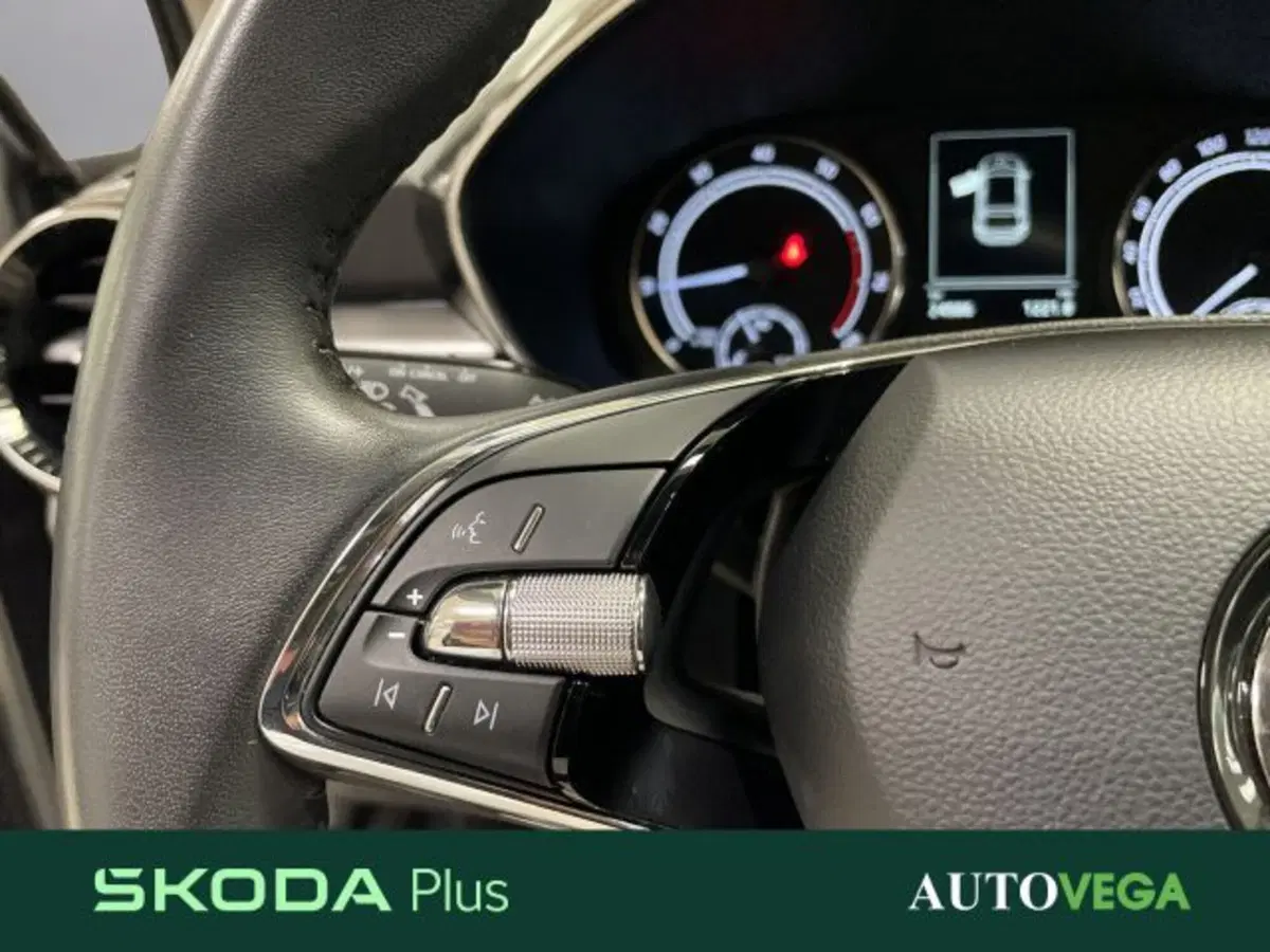 Skoda Fabia usata a Vicenza (16)