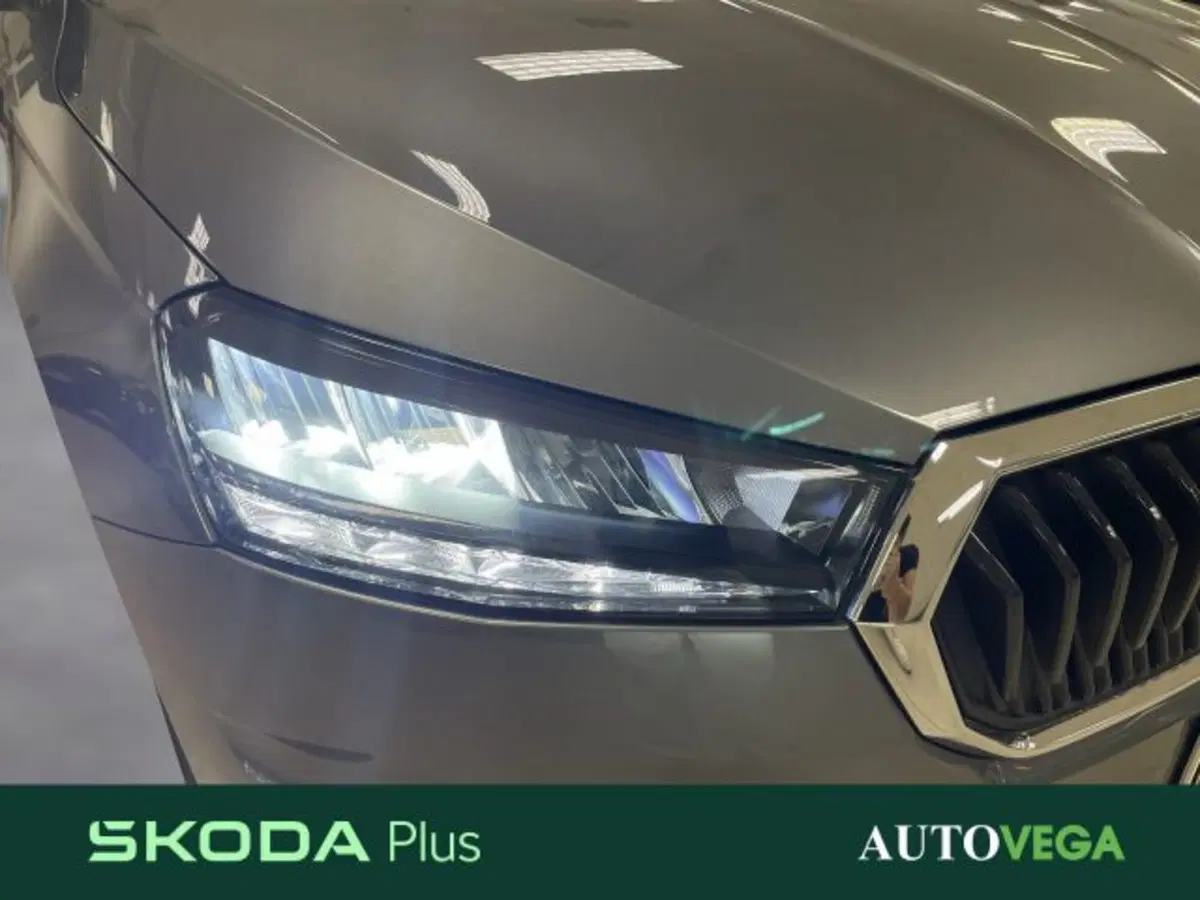 Skoda Fabia usata a Vicenza (19)