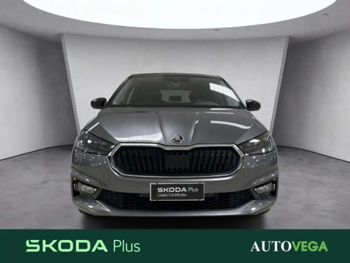 Skoda Fabia usata a Vicenza (2)