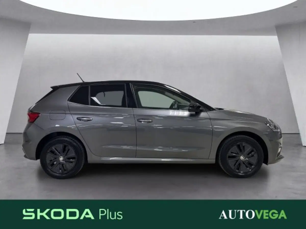 Skoda Fabia usata a Vicenza (3)