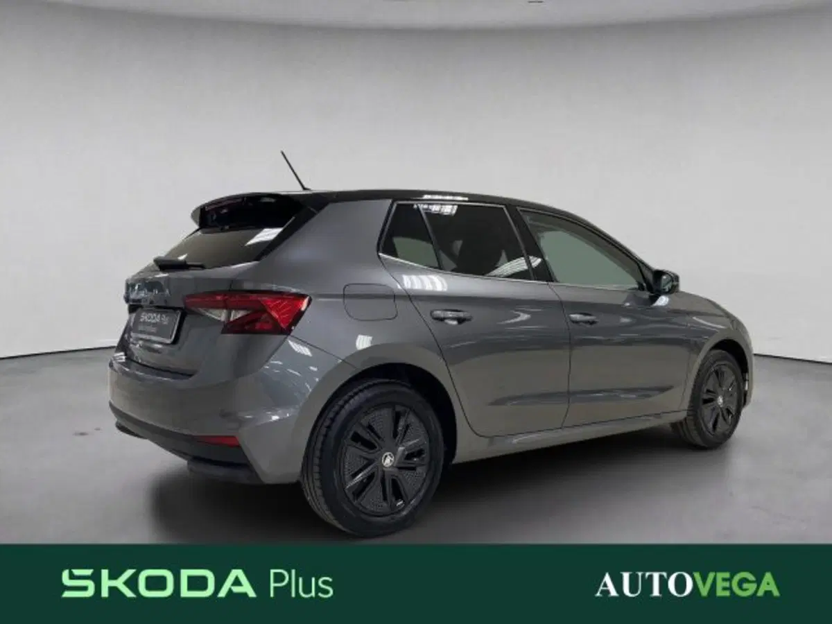 Skoda Fabia usata a Vicenza (4)