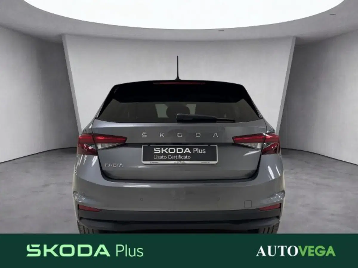 Skoda Fabia usata a Vicenza (5)