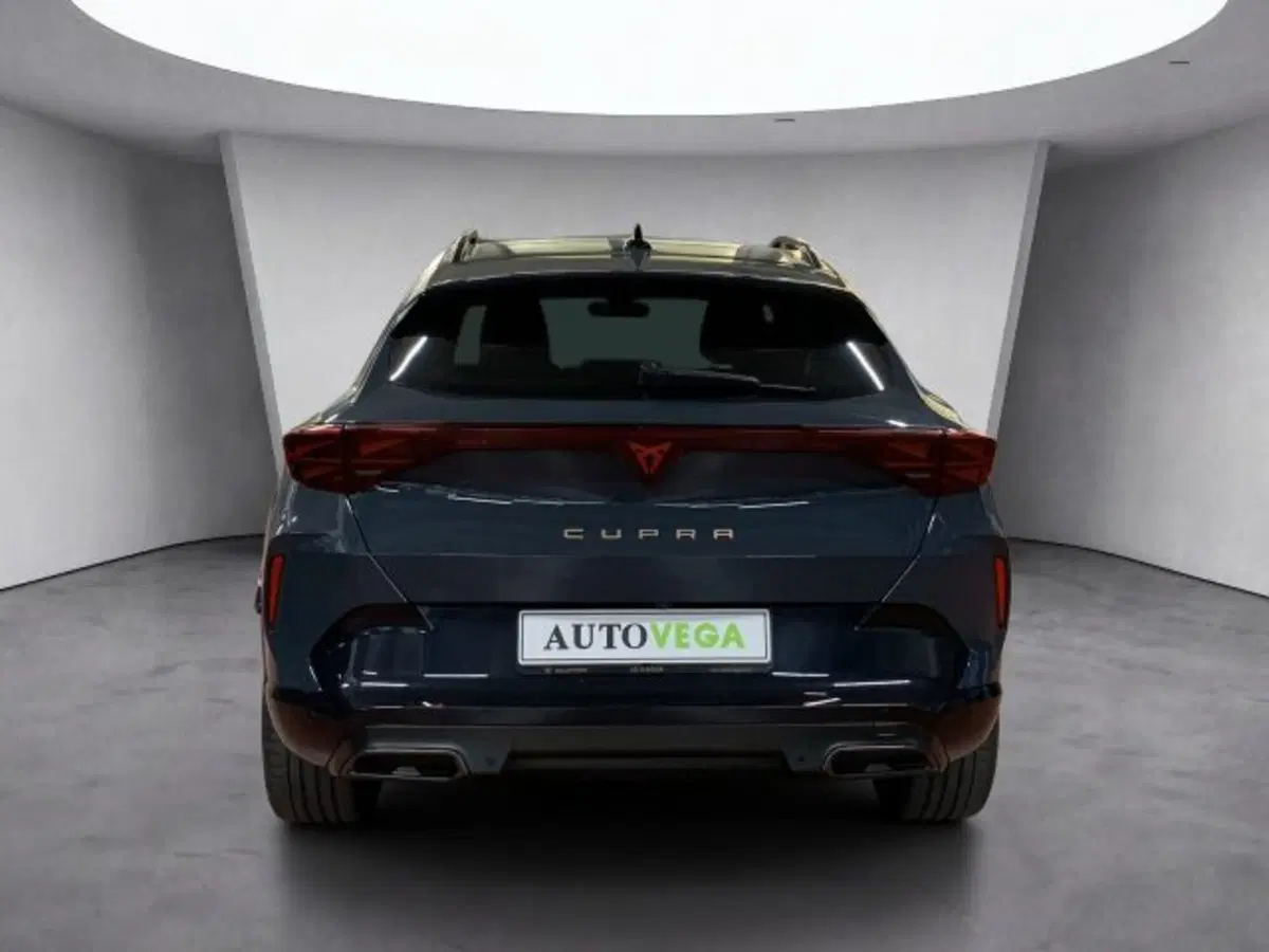 Cupra Formentor usata a Vicenza (5)