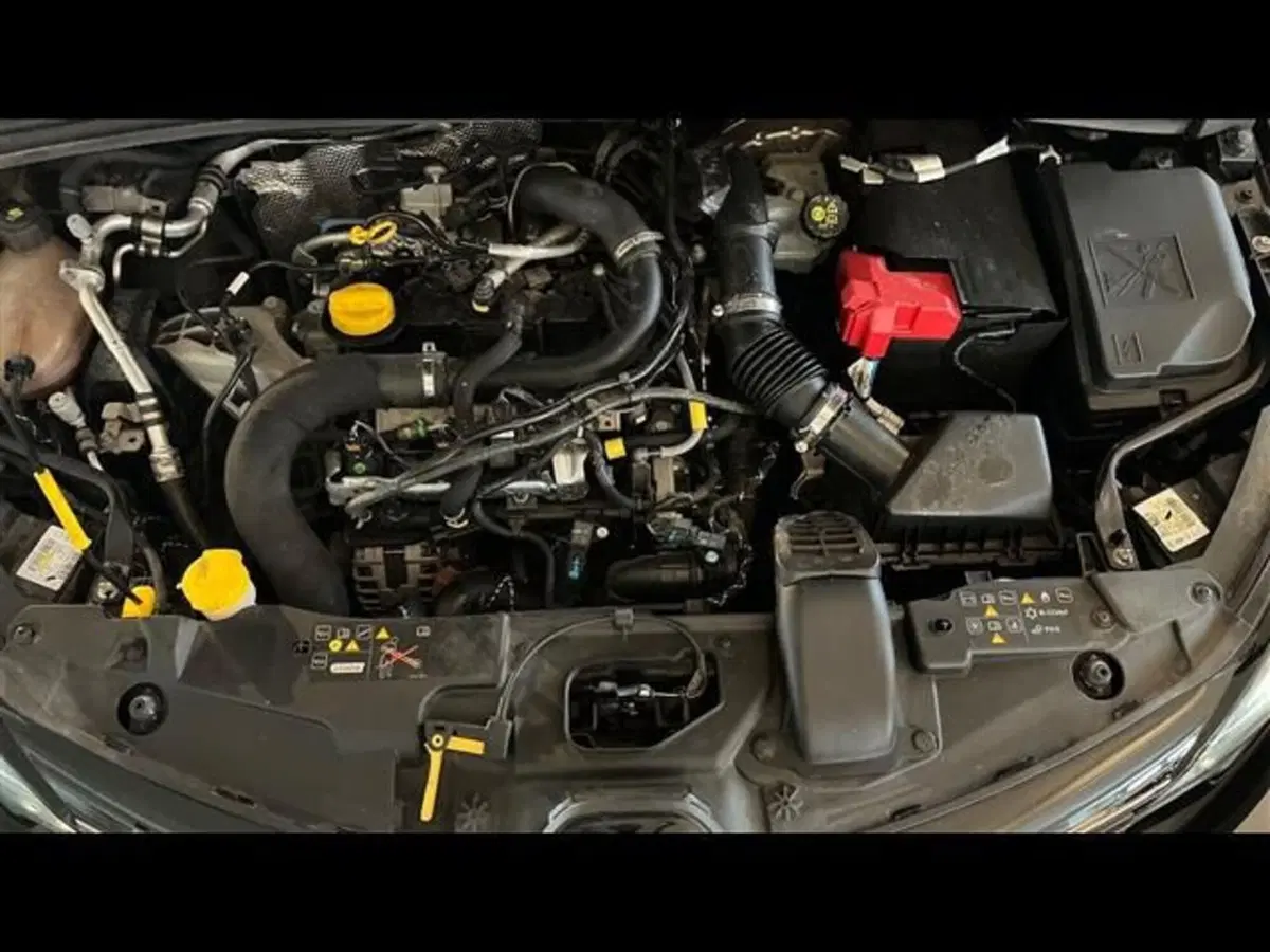Renault Clio usata a Firenze (14)