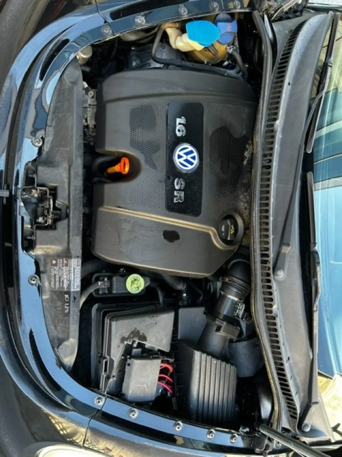 Volkswagen New Beetle usata a Cuneo (18)