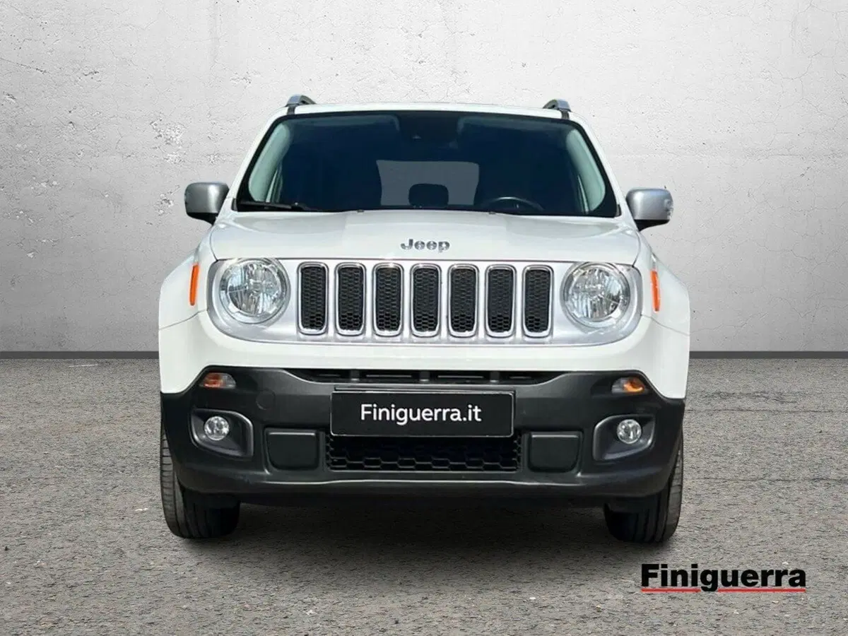 Jeep Renegade usata a Sondrio (2)
