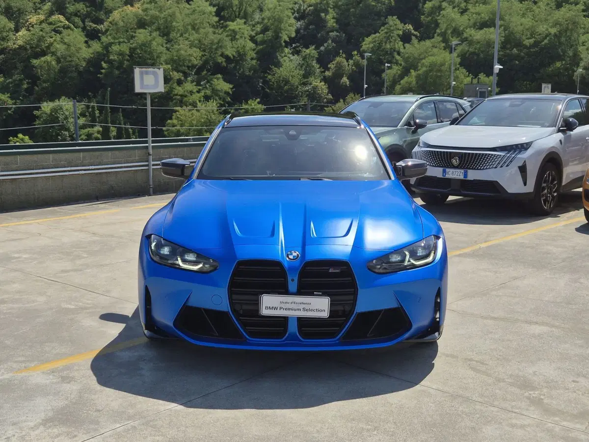 BMW Serie 3 Touring usata a Torino (2)